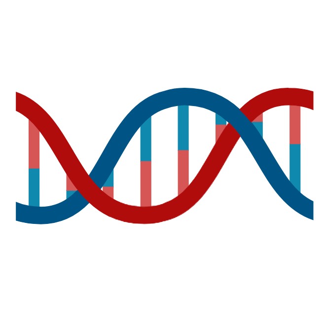 DNA