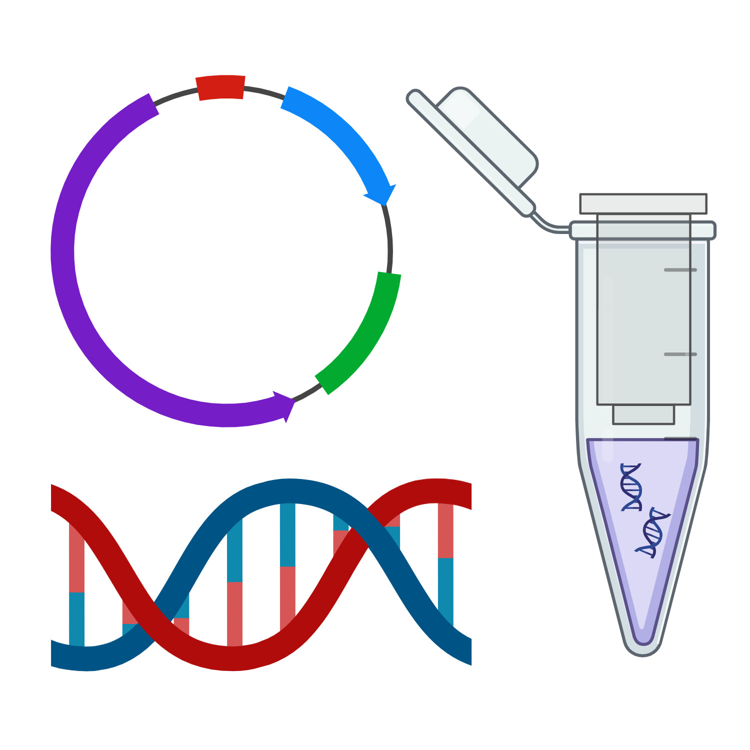 DNA Extraction