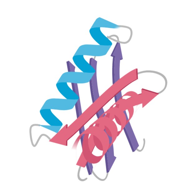 Proteins