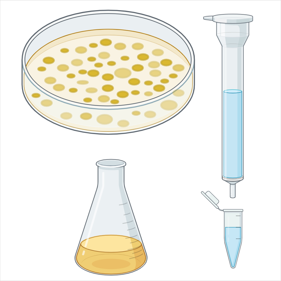 Protein Purification